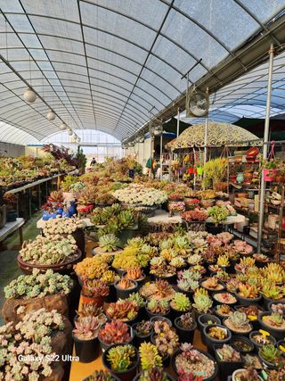 포도10428님의 기타작물 · 자유게시판 작성글 사진