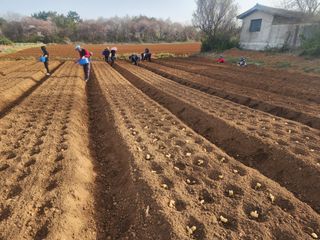 it농부님의 기타작물 · 자유게시판 작성글 사진