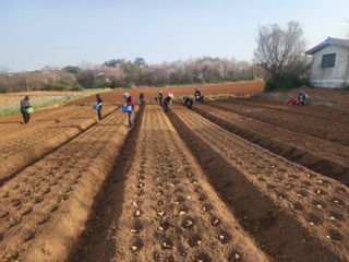 it농부님의 기타작물 · 자유게시판 작성글 사진