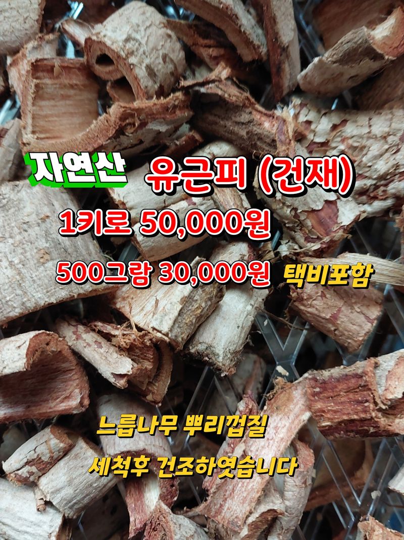 김봉호님의 장터 판매 상품 [자연산 유근피(건재)] 첨부 사진