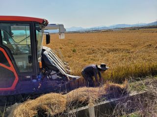 김영진(전남영광)님의 작성글 사진