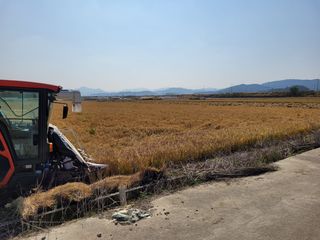 김영진(전남영광)님의 작성글 사진
