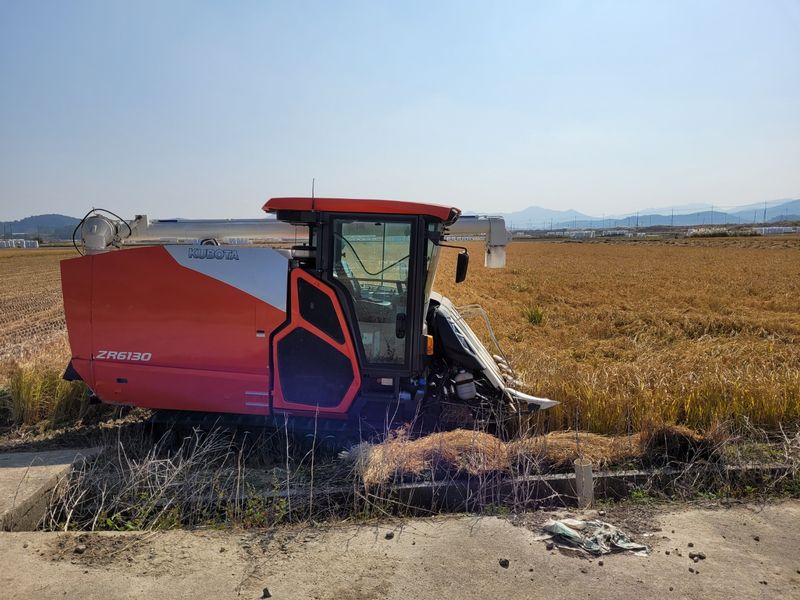 김영진(전남영광)님의 장터 판매 상품 [일반쌀 20kg 판매해요] 첨부 사진