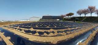 정진해님의 고추 · 토양준비 작성글 사진