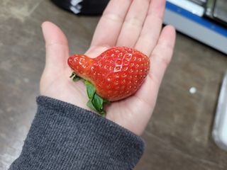 강현정님의 자유주제 · 자유게시판 작성글 사진