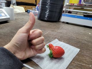 강현정님의 자유주제 · 자유게시판 작성글 사진