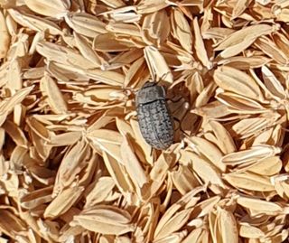 박병철님의 자유주제 · 자유게시판 작성글 사진