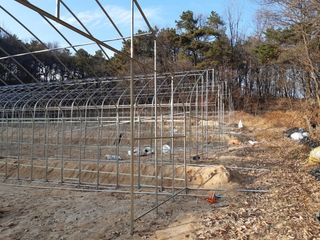 한희숙님의 하우스정보 · 시공사례•후기 작성글 사진