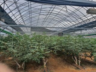 한희숙님의 하우스정보 · 시공사례•후기 작성글 사진