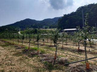 한희숙님의 하우스정보 · 시공사례•후기 작성글 사진