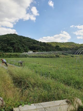 한희숙님의 하우스정보 · 시공사례•후기 작성글 사진