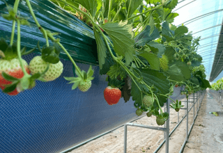 한희숙님의 하우스정보 · 시공사례•후기 작성글 사진