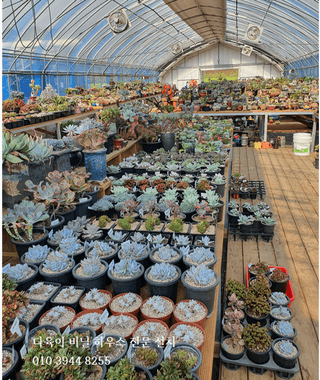 한희숙님의 하우스정보 · 시공사례•후기 작성글 사진