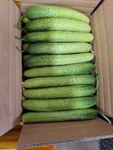 팜모닝 · 게시글 이미지