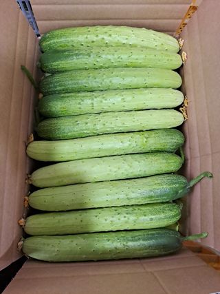 성기철님의 작성글 사진