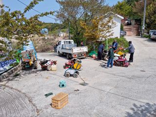 장양농원6606님의 우리동네 · 동네정보 작성글 사진