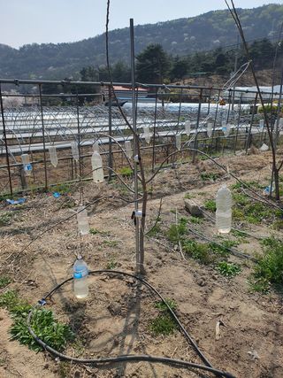 최영준님의 사과 · 품질 향상 작성글 사진