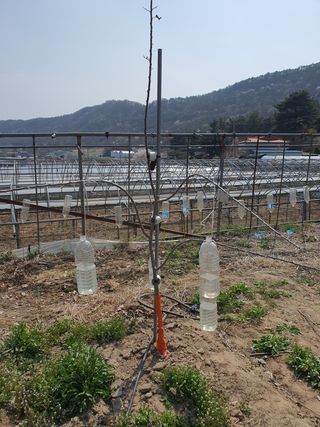 최영준님의 사과 · 품질 향상 작성글 사진