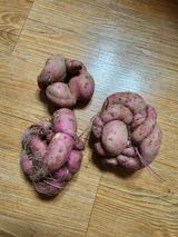 팜모닝 자유주제·자유게시판 게시글 이미지