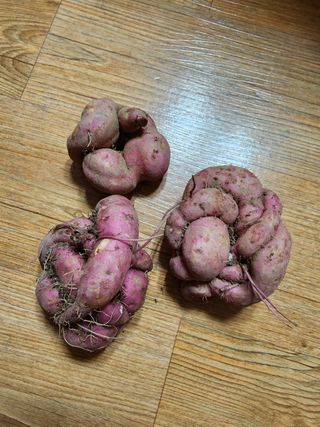 강신규님의 자유주제 · 자유게시판 작성글 사진