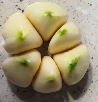 김근수님의 고구마 · 자유게시판 작성글 사진