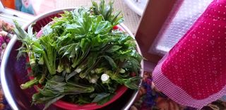 초원농원님의 두릅 · 일상 작성글 사진