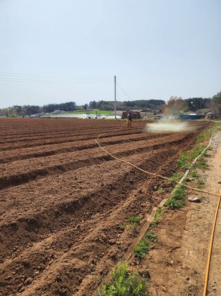 it농부님의 기타작물 · 자유게시판 작성글 사진