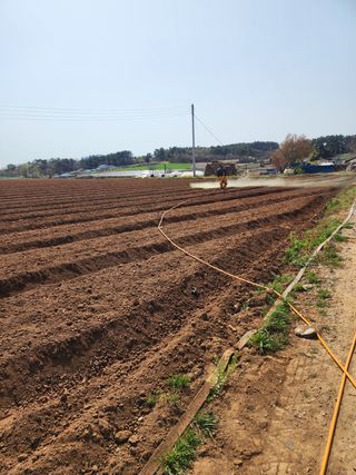 it농부님의 기타작물 · 자유게시판 작성글 사진