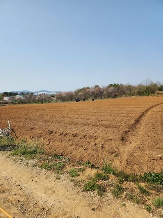 it농부님의 기타작물 · 자유게시판 작성글 사진
