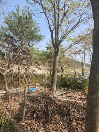 임태빈탑정호주말농장님의 우리동네 · 무료나눔 작성글 사진