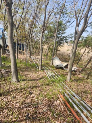 임태빈탑정호주말농장님의 우리동네 · 무료나눔 작성글 사진