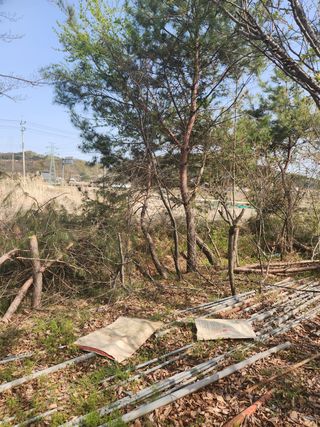 임태빈탑정호주말농장님의 우리동네 · 무료나눔 작성글 사진