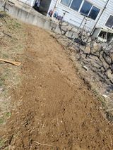 팜모닝 고추·일상 게시글 이미지