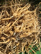 팜모닝 · 게시글 이미지