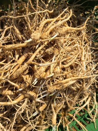 전재문님의 작성글 사진