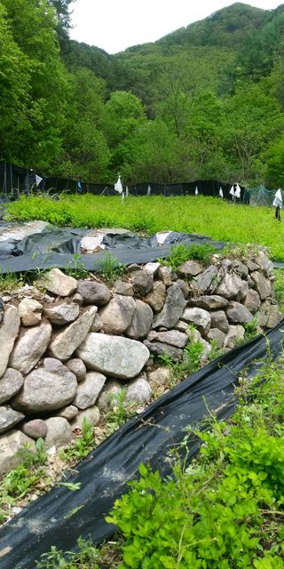 전재문님의 작성글 사진