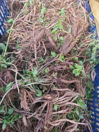 전재문님의 작성글 사진