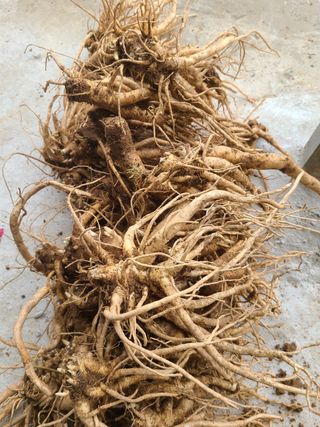 전재문님의 작성글 사진