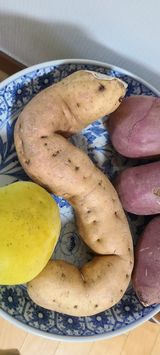 팜모닝 자유주제·자유게시판 게시글 이미지