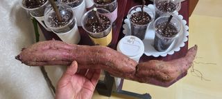 카리마님의 자유주제 · 자유게시판 작성글 사진