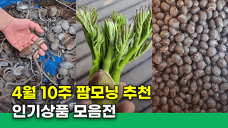 팜모닝님의 장터이야기 · 공지 작성글 사진