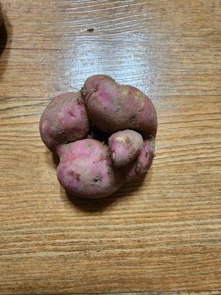 강신규님의 자유주제 · 자유게시판 작성글 사진