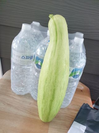 김형찬님의 자유주제 · 자유게시판 작성글 사진