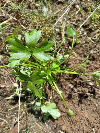 알 수 없음님의 기타작물 · 자유게시판 작성글 사진