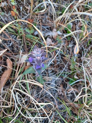 알 수 없음님의 기타작물 · 자유게시판 작성글 사진