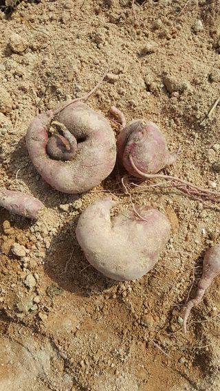 이남수님의 자유주제 · 자유게시판 작성글 사진