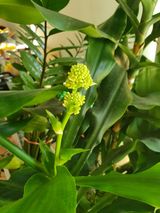 팜모닝 자유주제·자유게시판 게시글 이미지