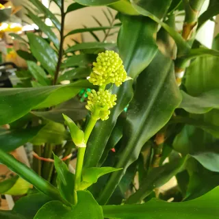 아준님의 자유주제 · 자유게시판 작성글 사진