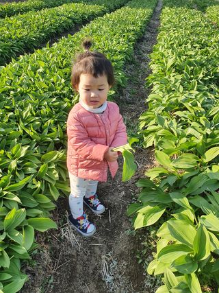 김기자(흰구름농원)님의 자유주제 · 자유게시판 작성글 사진
