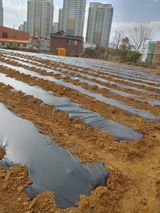 팜모닝 자유주제·자유게시판 게시글 이미지